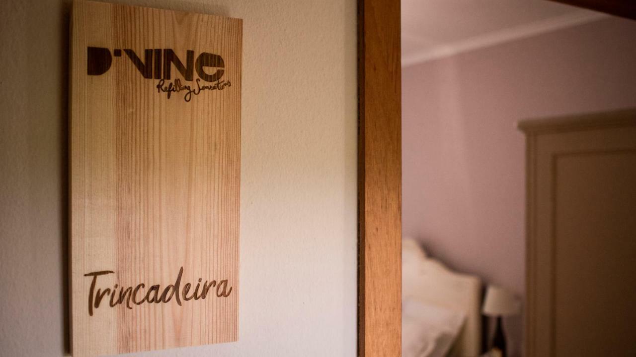 D'Vine - Country House Cartaxo Εξωτερικό φωτογραφία